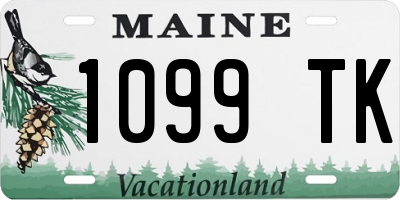 ME license plate 1099TK