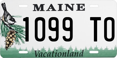 ME license plate 1099TO