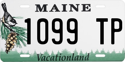 ME license plate 1099TP