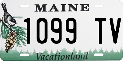ME license plate 1099TV