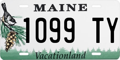 ME license plate 1099TY