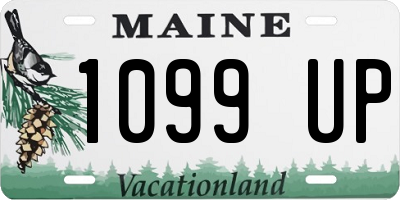 ME license plate 1099UP