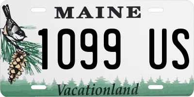ME license plate 1099US