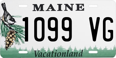 ME license plate 1099VG