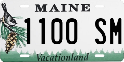 ME license plate 1100SM