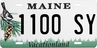 ME license plate 1100SY