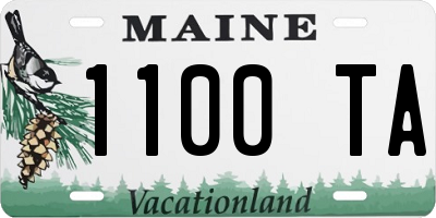 ME license plate 1100TA
