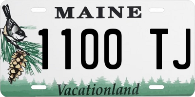 ME license plate 1100TJ