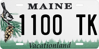 ME license plate 1100TK