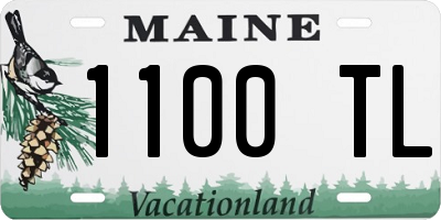 ME license plate 1100TL