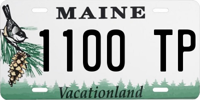 ME license plate 1100TP