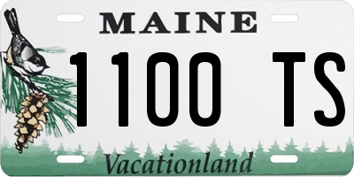 ME license plate 1100TS