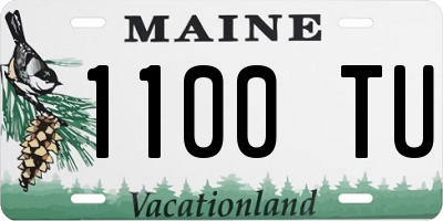 ME license plate 1100TU
