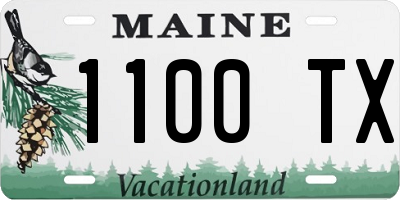 ME license plate 1100TX