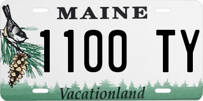 ME license plate 1100TY