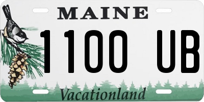 ME license plate 1100UB