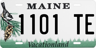 ME license plate 1101TE