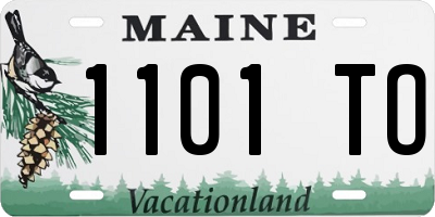 ME license plate 1101TO