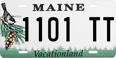 ME license plate 1101TT