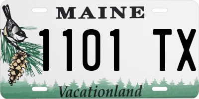 ME license plate 1101TX