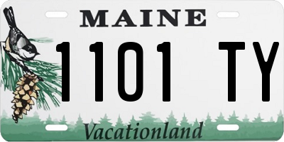 ME license plate 1101TY