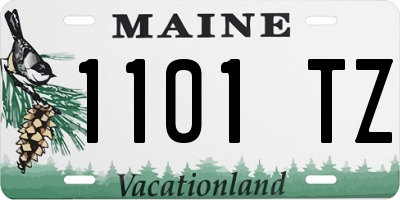 ME license plate 1101TZ