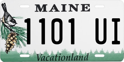 ME license plate 1101UI