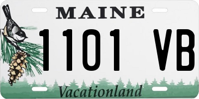 ME license plate 1101VB