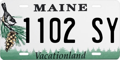 ME license plate 1102SY