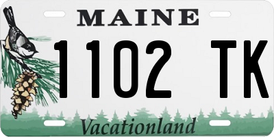 ME license plate 1102TK