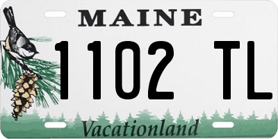 ME license plate 1102TL