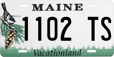 ME license plate 1102TS