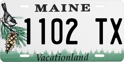 ME license plate 1102TX