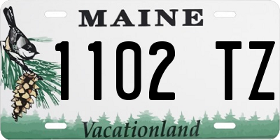 ME license plate 1102TZ