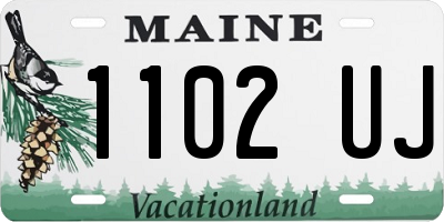 ME license plate 1102UJ