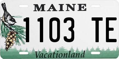 ME license plate 1103TE