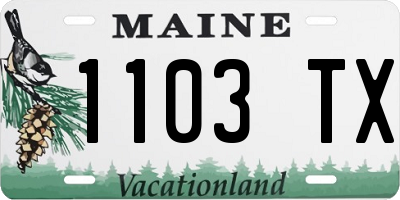 ME license plate 1103TX