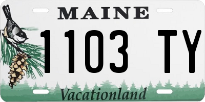 ME license plate 1103TY