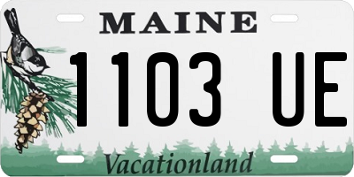 ME license plate 1103UE