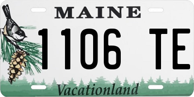 ME license plate 1106TE