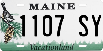 ME license plate 1107SY