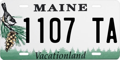 ME license plate 1107TA