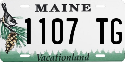 ME license plate 1107TG