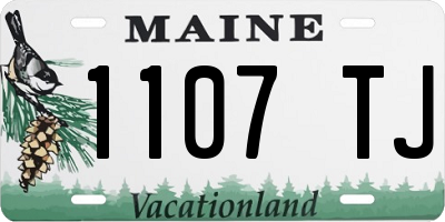 ME license plate 1107TJ