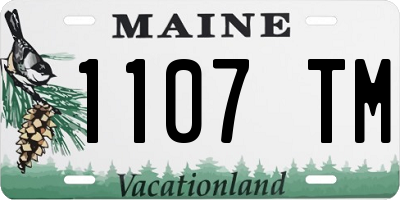 ME license plate 1107TM