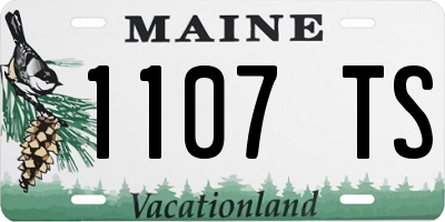 ME license plate 1107TS
