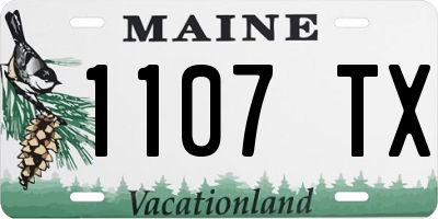 ME license plate 1107TX