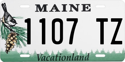 ME license plate 1107TZ