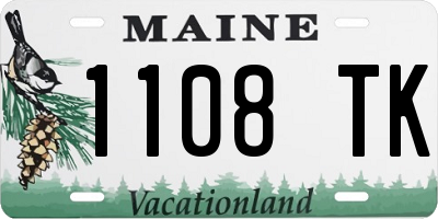 ME license plate 1108TK