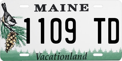 ME license plate 1109TD